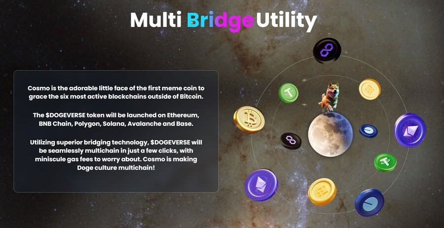 dogeverse project